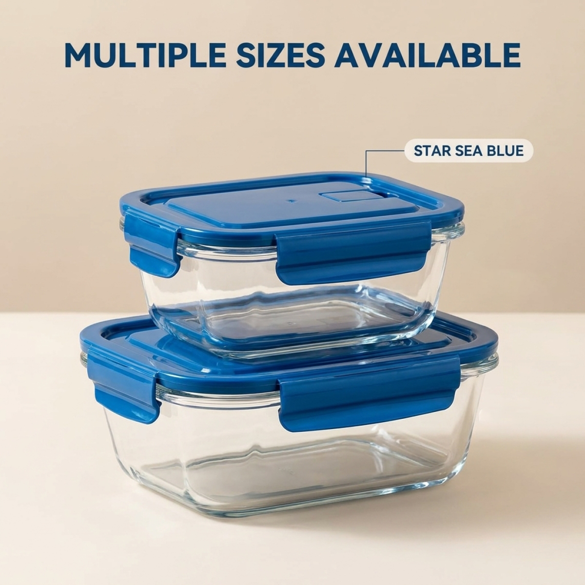 2 Pack Glass Lunch Box Borosil – обзор и цена Meal Prep Diet
